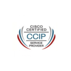 Certificado Ccip Em Seguranca Digital: O Que E E Por Que E Importante  Moema
